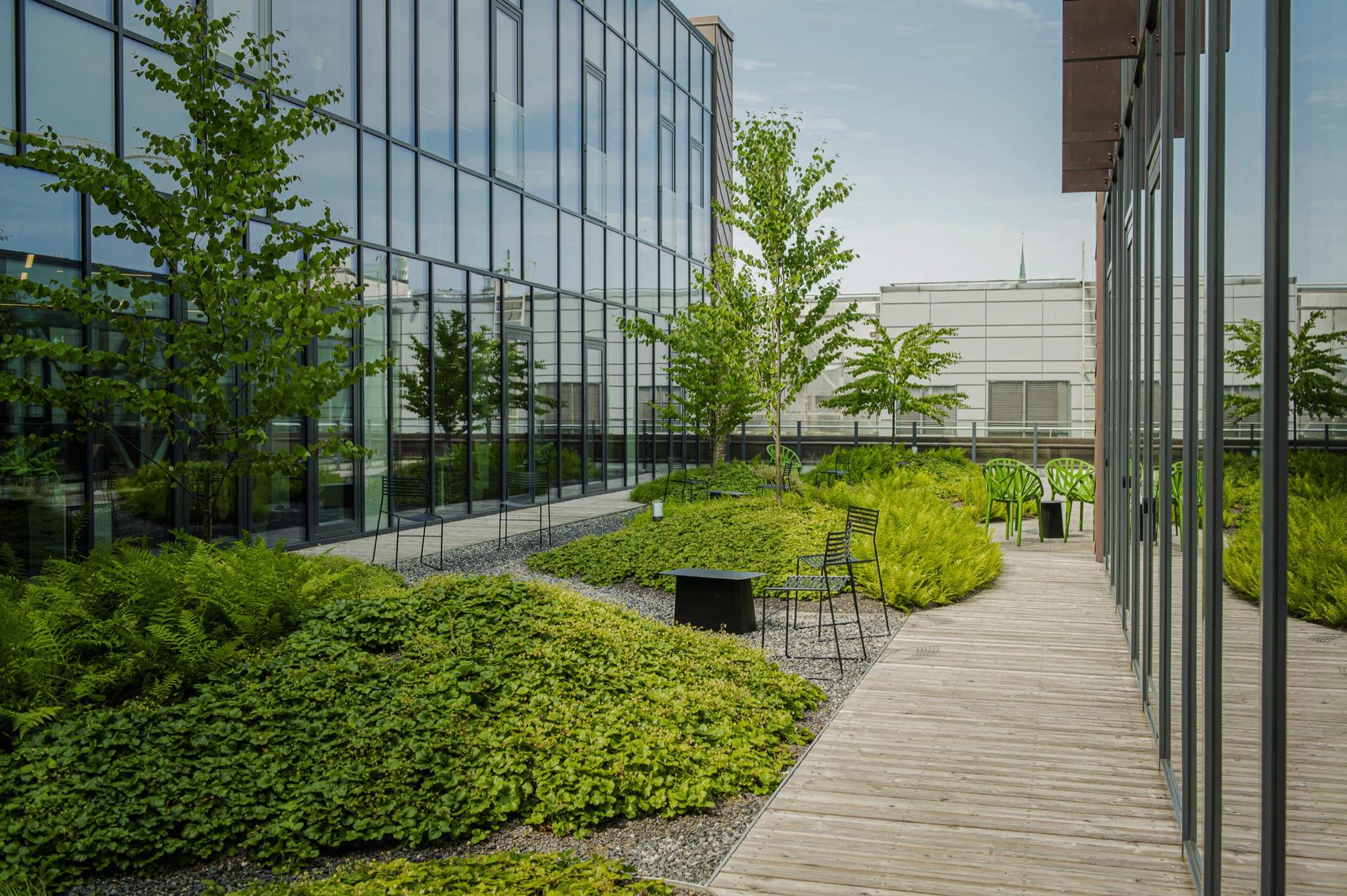 Origo One — 5
