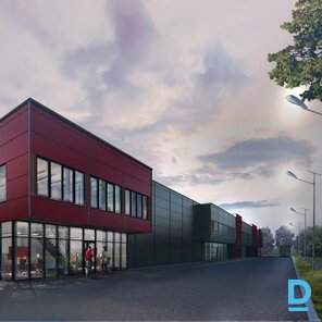 DV8 - 1